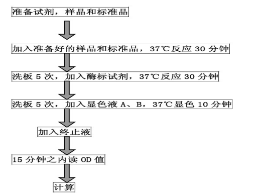 084547443.png wps18.png